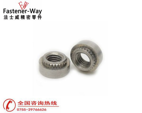 KFS2挤压螺母1 KFS2挤压螺母1