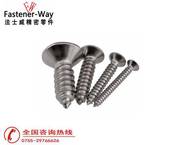 不锈钢自攻螺丝钉