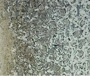 6bc2dd79-b237-40c6-b1dc-66303c84b26d 6bc2dd79-b237-40c6-b1dc-66303c84b26d