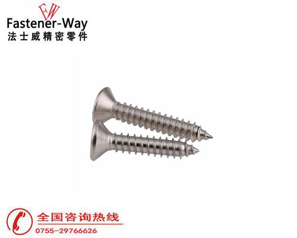 不锈钢自攻小螺丝 不锈钢自攻小螺丝